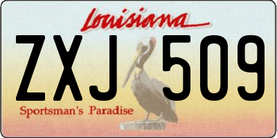 LA license plate ZXJ509