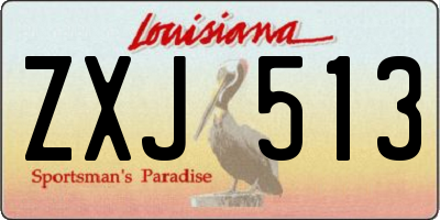 LA license plate ZXJ513