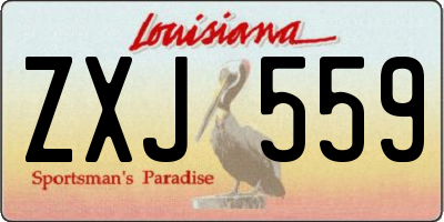 LA license plate ZXJ559