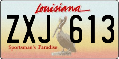 LA license plate ZXJ613