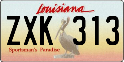 LA license plate ZXK313