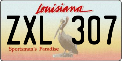 LA license plate ZXL307