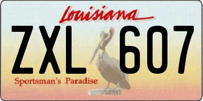 LA license plate ZXL607