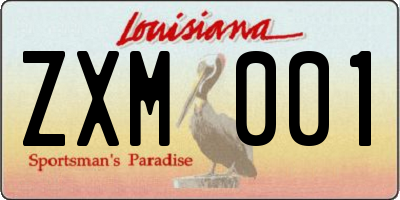 LA license plate ZXM001