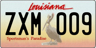 LA license plate ZXM009