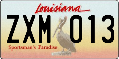 LA license plate ZXM013