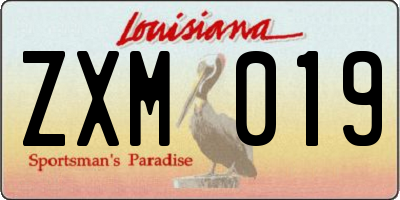 LA license plate ZXM019