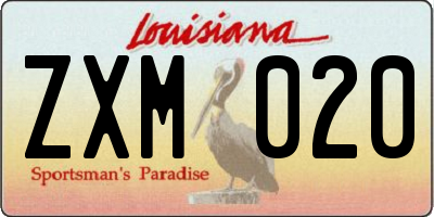 LA license plate ZXM020