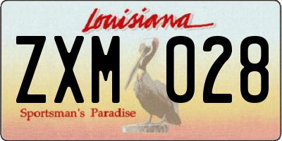 LA license plate ZXM028