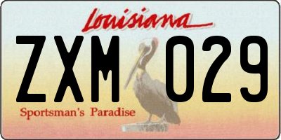 LA license plate ZXM029