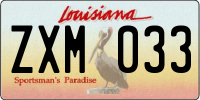 LA license plate ZXM033