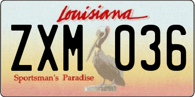 LA license plate ZXM036
