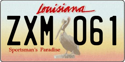 LA license plate ZXM061