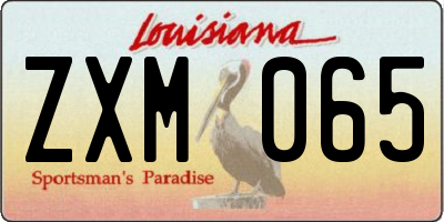 LA license plate ZXM065