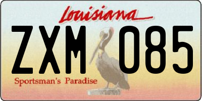 LA license plate ZXM085