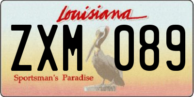 LA license plate ZXM089