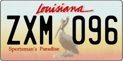 LA license plate ZXM096