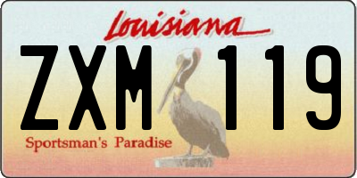 LA license plate ZXM119