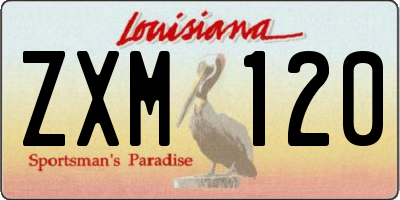 LA license plate ZXM120