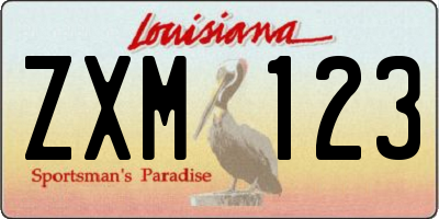 LA license plate ZXM123