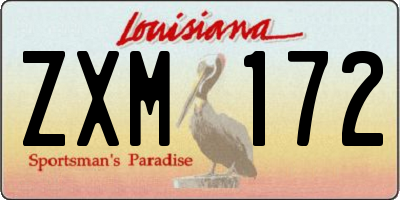 LA license plate ZXM172