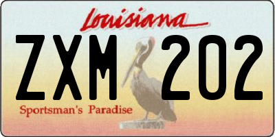 LA license plate ZXM202
