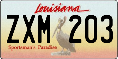LA license plate ZXM203