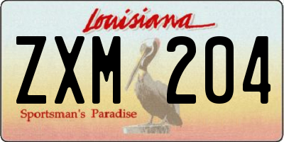 LA license plate ZXM204