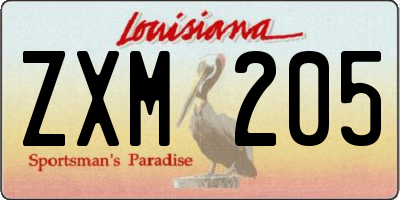 LA license plate ZXM205