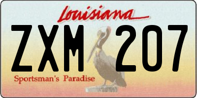 LA license plate ZXM207