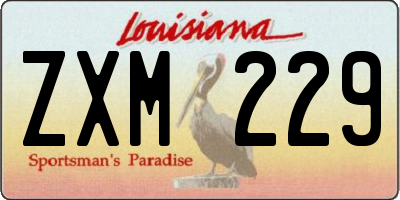 LA license plate ZXM229
