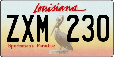 LA license plate ZXM230