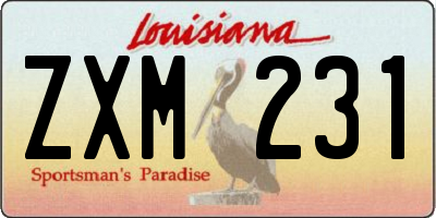 LA license plate ZXM231