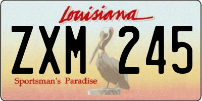 LA license plate ZXM245