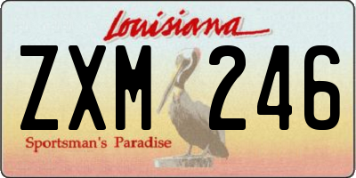 LA license plate ZXM246