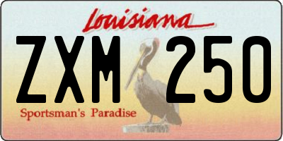 LA license plate ZXM250