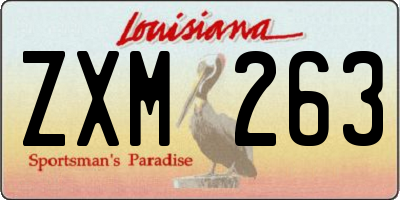 LA license plate ZXM263