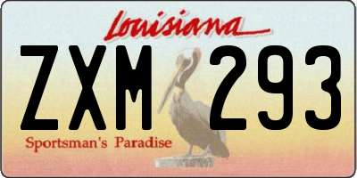 LA license plate ZXM293
