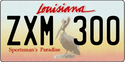 LA license plate ZXM300