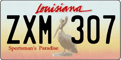 LA license plate ZXM307