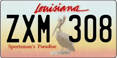 LA license plate ZXM308