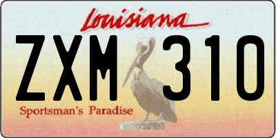 LA license plate ZXM310