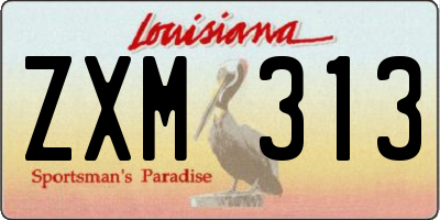 LA license plate ZXM313