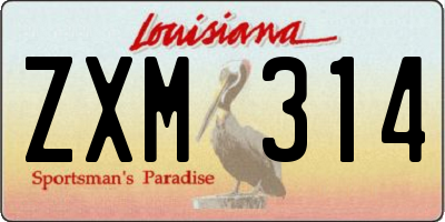 LA license plate ZXM314