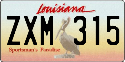 LA license plate ZXM315