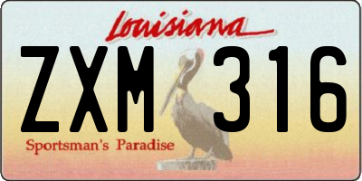 LA license plate ZXM316