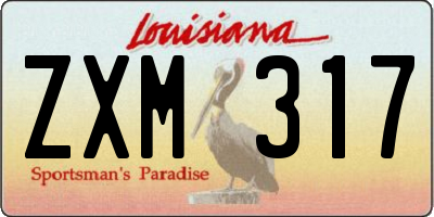 LA license plate ZXM317