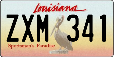 LA license plate ZXM341