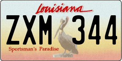 LA license plate ZXM344