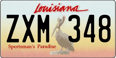 LA license plate ZXM348